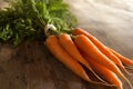 Carrots bunch Royalty Free Stock Photo