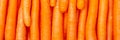 Carrots carrot background vegetable vegetables from above panorama