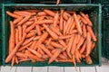 Carrots Royalty Free Stock Photo