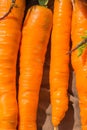 Carrots Royalty Free Stock Photo