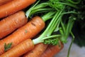 Carrots closeup