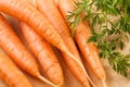 Carrots closeup Royalty Free Stock Photo