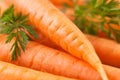 Carrots closeup Royalty Free Stock Photo