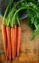 Carrots in Colander