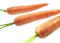 CARROTS daucus carota AGAINST WHITE BACKGROUND