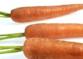 CARROTS daucus carota AGAINST WHITE BACKGROUND