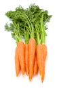 Carrots (Daucus carota ssp. sativus)