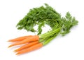 Carrots (Daucus carota ssp. sativus) Royalty Free Stock Photo