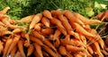 Carrots at the farm stand in Vermont Royalty Free Stock Photo