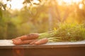 Carrots, first spring summer crop. Healthy food, gardening