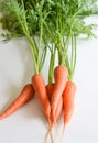 Carrots Royalty Free Stock Photo