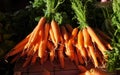 carrots fruit vitamine freshness agriculture