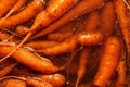 Carrots - Garden vegetables - healthy food Royalty Free Stock Photo