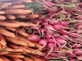 Carrots and garlic Royalty Free Stock Photo