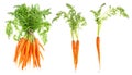 Carrot vegetable green leaves Food objects Royalty Free Stock Photo