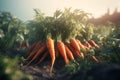 Carrots growing farming. Generate Ai