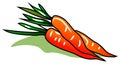 Carrots