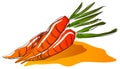 Carrots