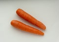 Two fresh orange delicious carrots isolated on a white background Royalty Free Stock Photo