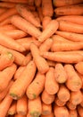 Carrots Royalty Free Stock Photo