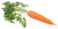 Carrots with leaves isolated on white background Royalty Free Stock Photo