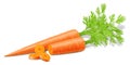 Carrots with leaves isolated on white background. Whole ripe carrot and slices. Fully editable handmade mesh. Realistic 3d Vector