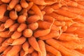 Carrots in marcet place