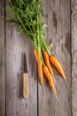 Carrots on old boards