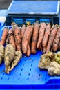 carrots and organic parsley for sale at a Farmer\'s market Royalty Free Stock Photo