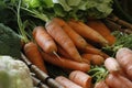 Carrots and other vegetables Royalty Free Stock Photo