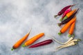 Carrots, parsnip and radish on grey washed concrete backdrop, top view.  Root vegetables Royalty Free Stock Photo