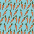 Carrots pattern colorful in aquamarine background