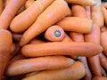 carrots Royalty Free Stock Photo