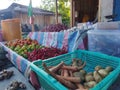 Carrots, potatoes, chilies, limes, tomatoes, garlic and shallots on shelves for sale in a traditional market. Royalty Free Stock Photo