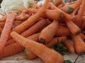 Carrots are rabbits& x27; favorite food