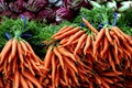 Carrots and Radicchio Royalty Free Stock Photo