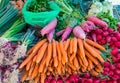 Carrots, radish and herbage