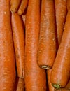 Carrots