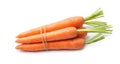 Carrots root . Royalty Free Stock Photo