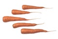 Carrots row on a white background