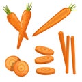 Carrots set. Whole carrots, half slices and carrot sticks. Cartoon flat simple style. Fresh market vegetables. Vector illustration Royalty Free Stock Photo