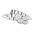 Carrots slices vegetable cartoon in black and white