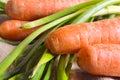 Carrots and spring onion Royalty Free Stock Photo