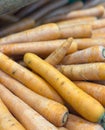 stacked carrots displayed for sale Royalty Free Stock Photo