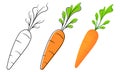 carrots with three kinds of designs