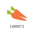 Carrots Vector illustration, flat design cartoon of crunchy carrot natural product for health and vitamins