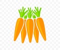 Carrots, vegetable, agriculture, food and meal, graphic design