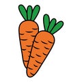 Carrots vegetable fresh