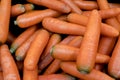 Carrots vegetables are orange. organic is rich in vitamins and minerals