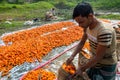 After carrots wash and cleaning laborers are sewing of jute bags mouth and doing prepare for